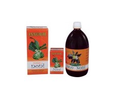 Innoval Noni 40 capsulas