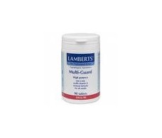 Lamberts Multi-Guard 90 Tablets Vitamins and Minerals