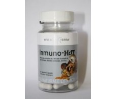 Inmuno-HdT 62 capsules