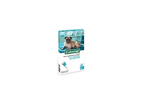 Advantage 100 perros de 4-10 kg.  4 pipetas