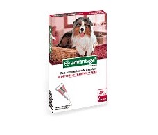 Advantage 250 for dogs 10-25 kg. 4 pipettes