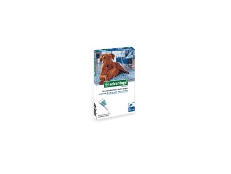 Advantage 400 for dogs 25-40 kg. 4 pipettes Advantage 400 for dogs 25-40 kg. 4 pipettes