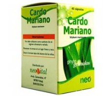 Cardo mariano microgranulos Neo 45 capsulas