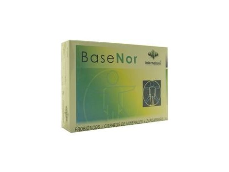 Basenor 60 capsulas - Internature