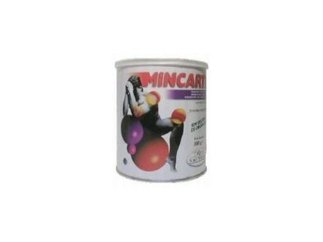 Mincartil 300 gr. Aminoacidos vegetales Soria Natural