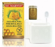 Marnys Pure Royal Jelly 10 gr. Gläschen.