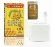 Marnys Reines Gelée Royale 20 gr / Gläschen.