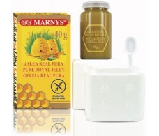 Marnys Pure Royal jelly 40 gr / Glassjar.