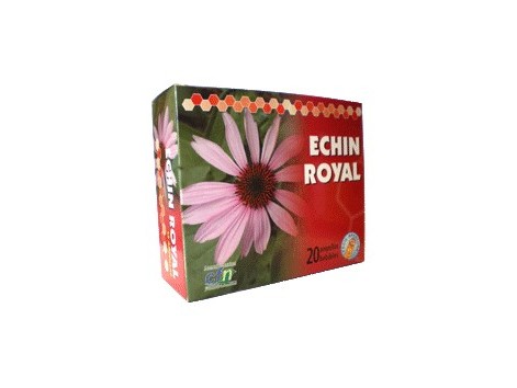 CFN Echin Royal 20 ampolas.