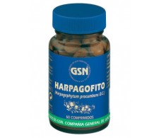 GSN Harpagofito 60 tablets.