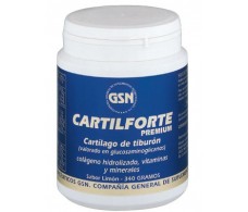 GSN Cartilforte Premium 340g limón