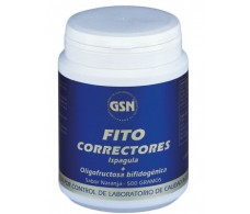 GSN Fito Correctores Sabor Naranja 500gr.