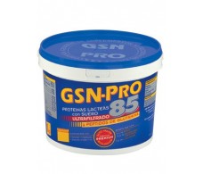 GSN PRO 85 Flavor Chocolate 1 kilo.