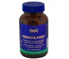 GSN Rosta Fort 100 comprimidos.