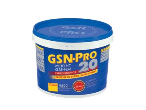 GSN Pro 20 Sabor Chocolate 2.5 kg.