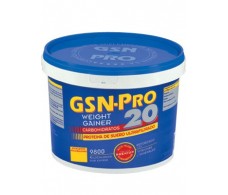 GSN Pro 20 Erdbeergeschmack 2,5 kg.