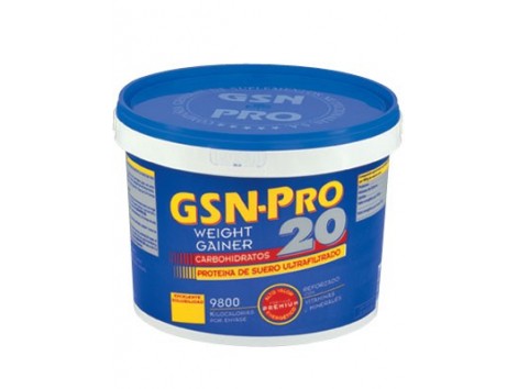GSN Pro 20 Vanilla Flavor 2.5 kg. GSN Pro 20 Vanilla Flavor 2.5 kg.