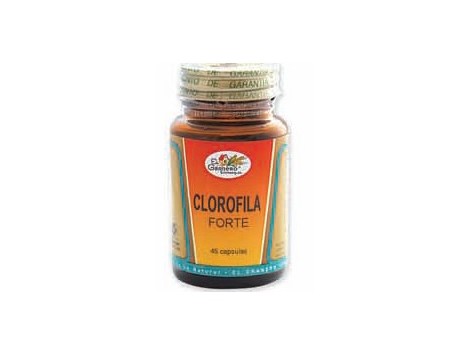 El Granero Chlorophyll Forte 45 capsules.