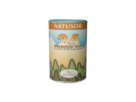 Soria Natural Natusor-24 Digeslán (digestión pesada, acidez) 90 