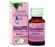 Soria Natural Eucalyptus Essential Oil 15ml.