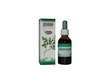 Soria Natural Extrato de Arandano  (Olhos, circulaçao) 50 ml.