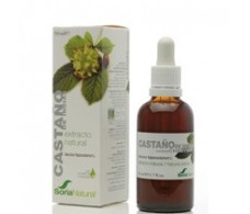 Soria Natural Cavalinha Extrato (diurético, sílica) 50ml.