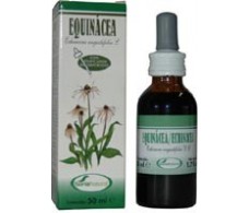 Soria Natural Echinacea Extract (sist. immune defenses) 50 ml.