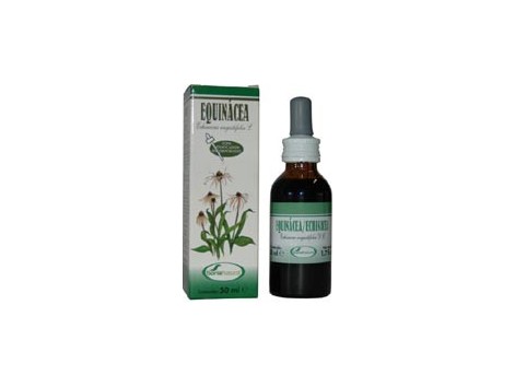 Soria Natural Echinacea Extract (sist. immune defenses) 50 ml.