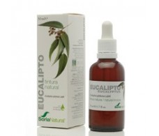 Soria Natural Eucalyptus extract (bronchitis, cold) 50ml.