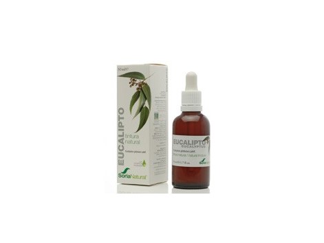 Soria Natural Eucalyptus extract (bronchitis, cold) 50ml.