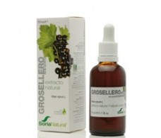 Soria Natural Black Currant Extract 50 ml.