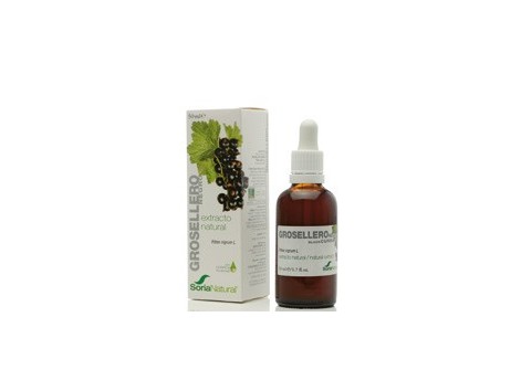 Soria Natural Black Currant Extract 50 ml.