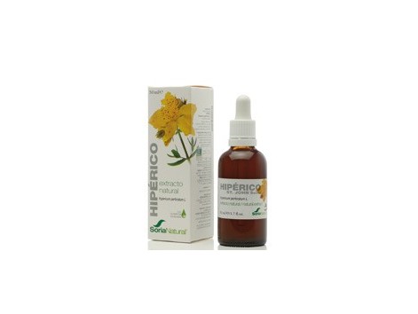 Soria Natural Ausschnitt des Hypericum (Depression, Nervensystem