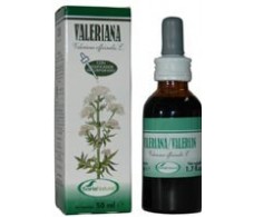 Soria Natural Baldrian-Extrakt 50 ml.