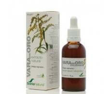 Soria Natural Extracto de Vara de Ouro 50 ml.