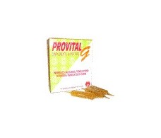 Nale Provital Grip 14 ampolas.