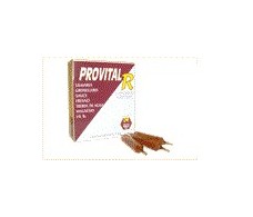 Nale Provital R 14 ampollas.