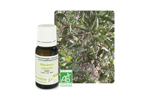 Pranarom Cajeput Aceite Esencial Bio 10ml.