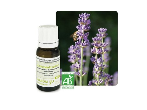 Pranarom Essential Oil Bio Macho Lavender 10ml.