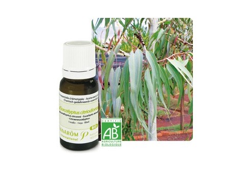 Pranarom Aceite Esencial Bio Eucalipto Azul 10ml.