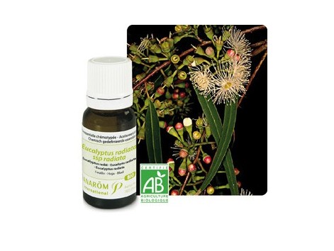 Pranarom Aceite Esencial Bio Eucalipto Radiata 10ml