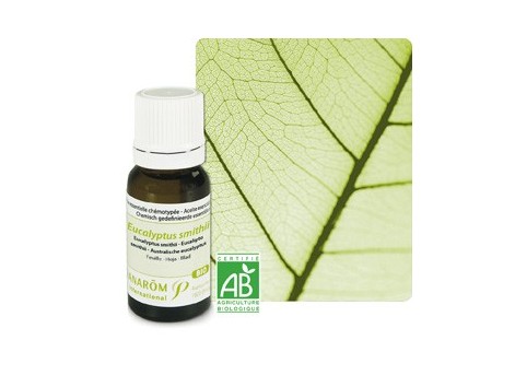 Pranarom Aceite Esencial Bio Eucalipto Smithii 10 ml.