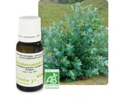 Pranarom Essential Oil Bio Eucalyptus 10 ml.