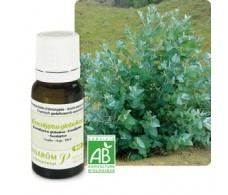 Pranarom Essential Oil Eucalyptus 10 ml.