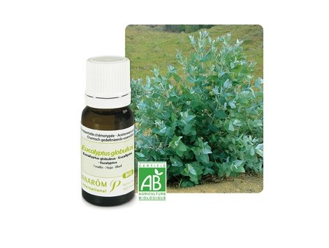 Pranarom Aceite Esencial Bio Eucalipto 10 ml.