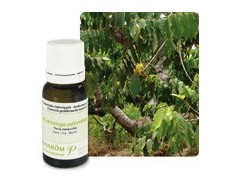 Pranarom Aceite Esencial Bio Ylang-Ylang 5ml.