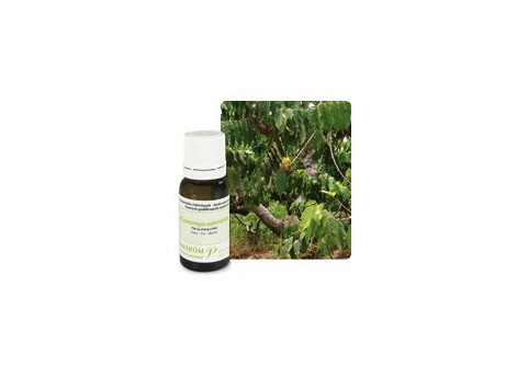 Pranarom Aceite Esencial Bio Ylang-Ylang 5ml.