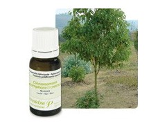 Pranarom Essential Oil Ravintsara Bio (Camphor) 10ml.
