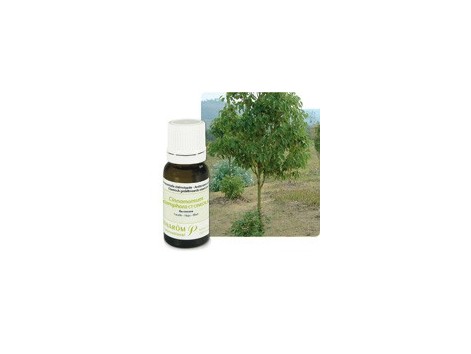 Pranarom Aceite Esencial Bio Ravintsara (Alcanforero) 10ml.