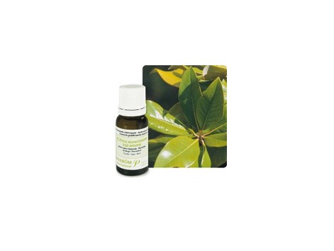 Pranarom Aceite Esencial Bio Naranjo Amargo 10ml.